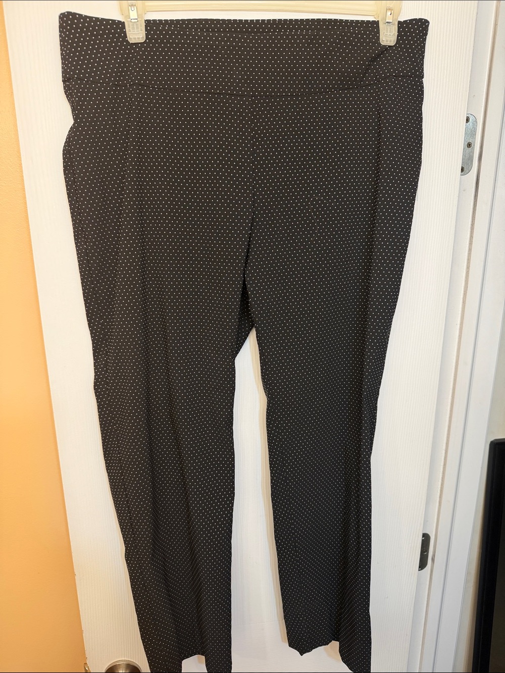 Zac & Rachel Black Pants with White Polka Dots - Straight Leg